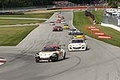 _MG_8390.jpg
