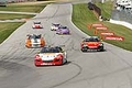 _MG_8394.jpg